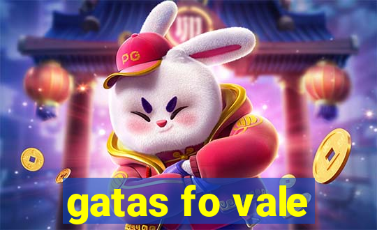 gatas fo vale